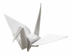 Cigno